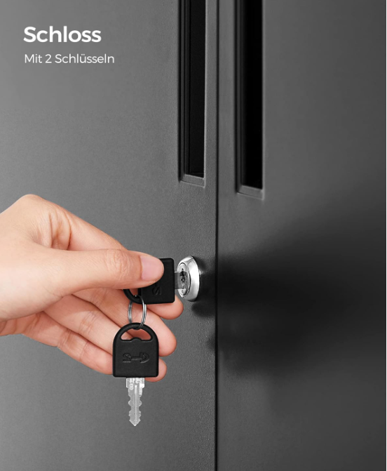 Mehrzweckschrank mit 2 Türen & Schloss, Stahlschrank für Büro & Wohnzimmer, Abschließbar